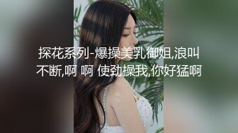 探花系列-爆操美乳御姐,浪叫不断,啊 啊 使劲操我,你好猛啊