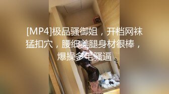 [MP4]极品骚御姐，开档网袜猛扣穴，腰细美腿身材很棒，爆操多毛骚逼