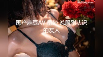 国产麻豆AV 番外 说服刚认识的友人