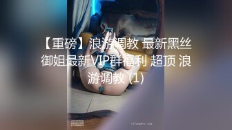 【重磅】浪游调教 最新黑丝御姐最新VIP群福利 超顶 浪游调教 (1)