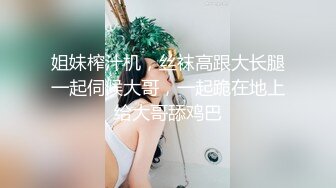 国产麻豆AV MD MD0163 暴虐双奸母女花 强行插入4P激战 苏娅 沈娜娜