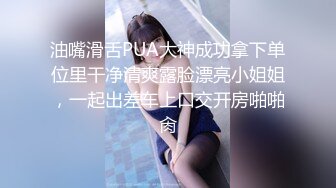 精品收藏 快快下載！王動模特ijoycebabe粉絲群文件整理[210P+18V/496M]