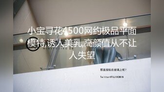 小宝寻花4500网约极品平面模特,诱人美乳,高颜值从不让人失望