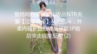 ★☆【高颜萝莉❤️重磅核弹】★☆极品双马尾萝莉 车震无套后入 内射粉穴 美乳翘臀 高清 (3)