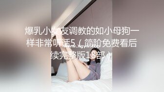 Al—迪丽热巴 享受性爱合集