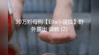 30万粉母狗【Ella小骚狐】野外露出 调教 (2)