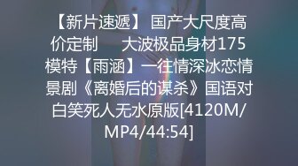 星空无限传媒贺岁片回家过年七步曲之回家的诱惑EP4XK8109