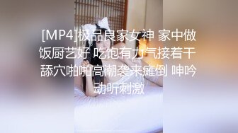 麻豆传媒-突袭会员性爱福利尺度大开淫靡豪礼-夏晴子