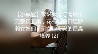 【小黑屋】顶级大佬订阅最全完整视图集，花式调教御姐萝莉女奴们，玩女神母狗的最高境界 (2)