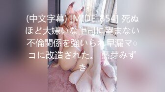 [MP4/ 742M]灰丝高挑模特极品女神，和中年男友的日常性爱，花样很多，解锁超多姿势