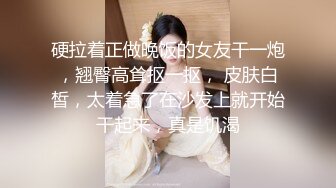 长腿模特口交后入