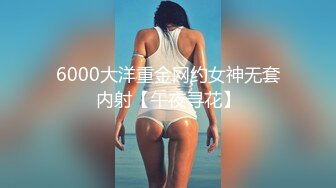 6000大洋重金网约女神无套内射【午夜寻花】