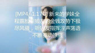 九头身172CM高挑大长腿东北女神，只要穿上车模的衣服去车展