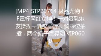 [MP4]STP30001 80多斤苗条妹妹！刚下海大秀一波！性感吊带丝袜扭腰摆臀，粗大玻璃棒磨穴，跳蛋震动好爽 VIP0600