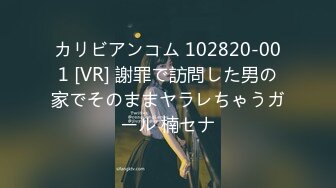 カリビアンコム 102820-001 [VR] 謝罪で訪問した男の家でそのままヤラレちゃうガール 楠セナ