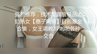 高能预警！比女人还女人极品网红CDTS【sehe】私拍，能攻能守3P4P真男假女混乱性交人体蜈蚣，相当淫乱视觉盛宴 (10)