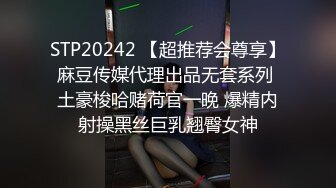 [MP4]麻豆传媒 摄影师套路漂亮的美女模特