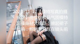 2023-11-11【模特写真拍摄丶探花】高价约极品气质模特，超棒身材大长腿，撩起裙子一顿拍，粉嫩美穴怼在镜头前