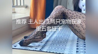 推荐 主人出门,两只宠物在家里五套狂干