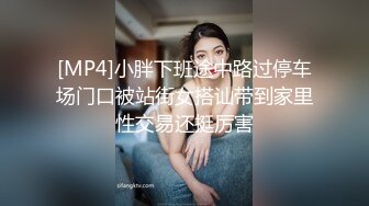 [MP4]小胖下班途中路过停车场门口被站街女搭讪带到家里性交易还挺厉害