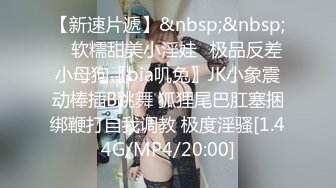 大像传媒之情慾絲襪巨乳的誘惑-林可菲