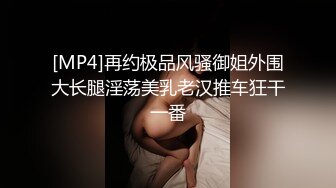 翘臀女神顶级视图福利包-VVLOL-1米7大高个顶级美腿白虎女250P+65V