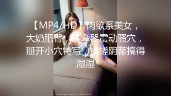 【MP4/HD】肉欲系美女，大奶肥臀，按摩器震动骚穴，掰开小穴特写，揉搓阴蒂搞得湿湿