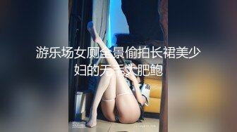 游乐场女厕全景偷拍长裙美少妇的无毛大肥鲍