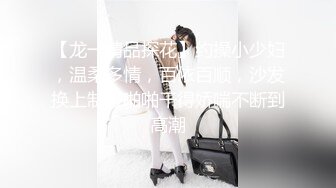 【龙一精品探花】约操小少妇，温柔多情，百依百顺，沙发换上制服啪啪干得娇喘不断到高潮