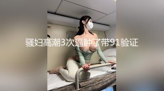 骚妇高潮3次逼肿了带91验证