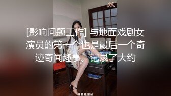 [影响问题工作] 与地面戏剧女演员的第一个也是最后一个奇迹奇闻趣事。记录了大约