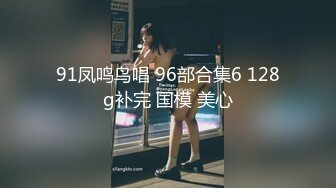 91凤鸣鸟唱 96部合集6 128g补完 国模 美心