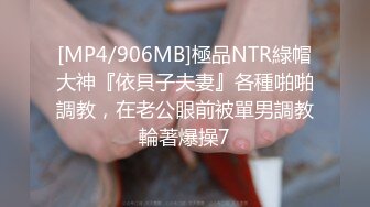 [MP4]STP24569 先调调情再操，舌吻隔着衣服揉奶子，吸吮舔屌骑上来抽插，扶着屁股后入爆操小骚逼 VIP2209