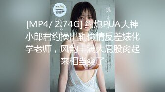 [MP4]麻豆传媒 FLIXKO MFK0014 私家侦探之平冈公主与傻瓜温达