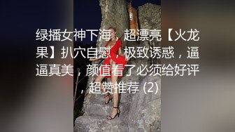 老李成名之战，魔都大圈四五千一炮，极品车模，高颜值女神，风骚魅惑，人间尤物1