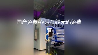 国产免费AV片在线无码免费看