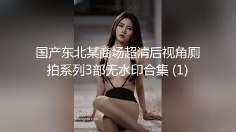 第二炮更精彩 泡良达人 极品护士女神 酒店相会偷情 美胸翘臀 温柔貌美俏佳人