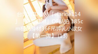 台湾JVID模特「elarine114」「白雪蘿綝」OF私拍 185cm极品身材36F吊钟乳小欲女【第一弹】 (13)