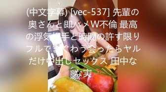 (中文字幕) [vec-537] 先輩の奥さんと即ハメW不倫 最高の浮気相手と時間の許す限りフルでまぐわう会ったらヤルだけ中出しセックス 田中なな実