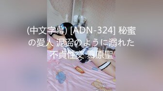 (中文字幕) [ADN-324] 秘蜜の愛人 泥沼のように溺れた不貞性交 舞原聖