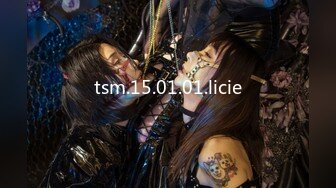 tsm.15.01.01.licie