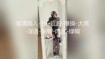 高清插入-3p-屁股-爆操-大屌-淫语-翘臀-肉丝-绿帽