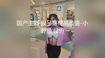 国产主播 极品身材高颜值-小野猫 (29)