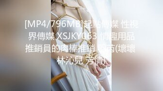 [MP4/796MB]起點傳媒 性視界傳媒 XSJKY063 情趣用品推銷員的肉棒推銷 羽芮(壞壞 林沁兒 芳情)