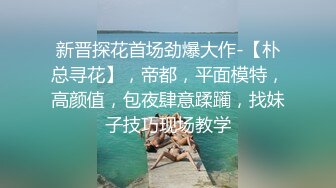 经典流出露出界知名露出网红FSS户外全裸露出自拍 情趣黑丝透视装午夜逛街 乡间全裸私拍真大胆 (2)