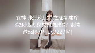 女神 张景岚比特之捆绑瘙痒欢乐地狱 身材好 相貌好 表情诱惑[87P+1V/227M]