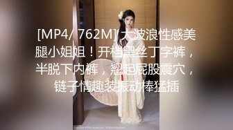 [MP4/ 762M] 大波浪性感美腿小姐姐！开档黑丝丁字裤，半脱下内裤，翘起屁股震穴，链子情趣装振动棒猛插